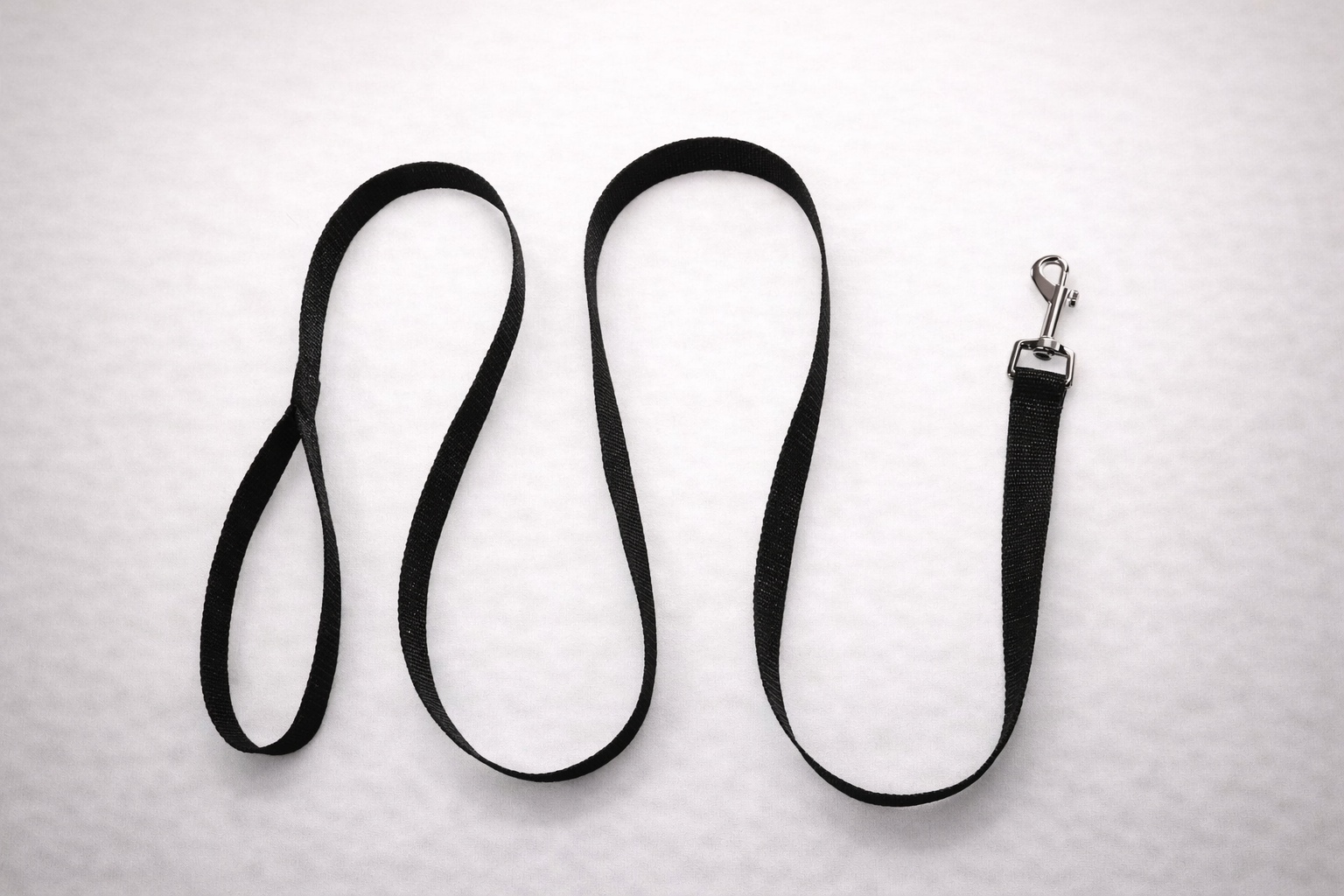 Heavy-Duty Dog Leash