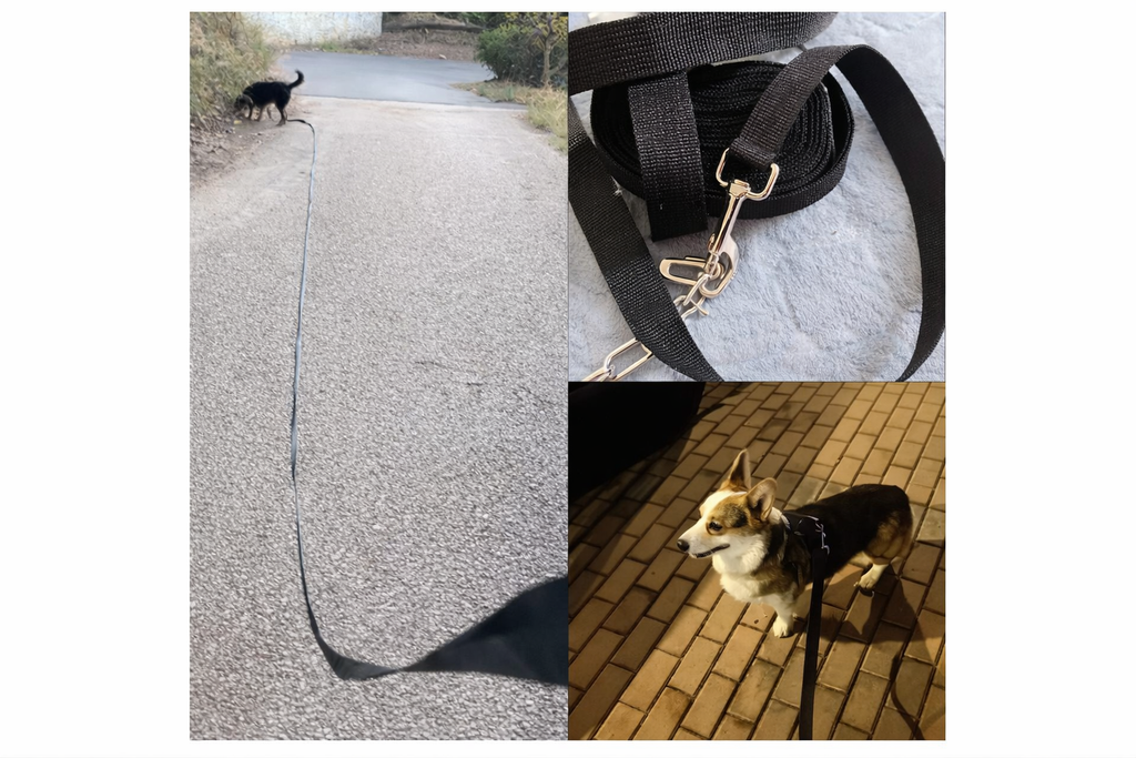 Heavy-Duty Dog Leash