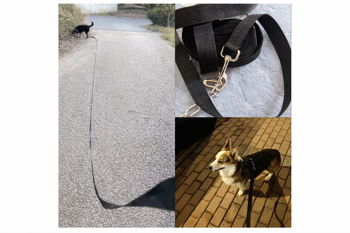 Heavy-Duty Dog Leash
